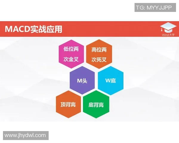 深入分析北京羽毛球队防反打法的战术特点与实战应用